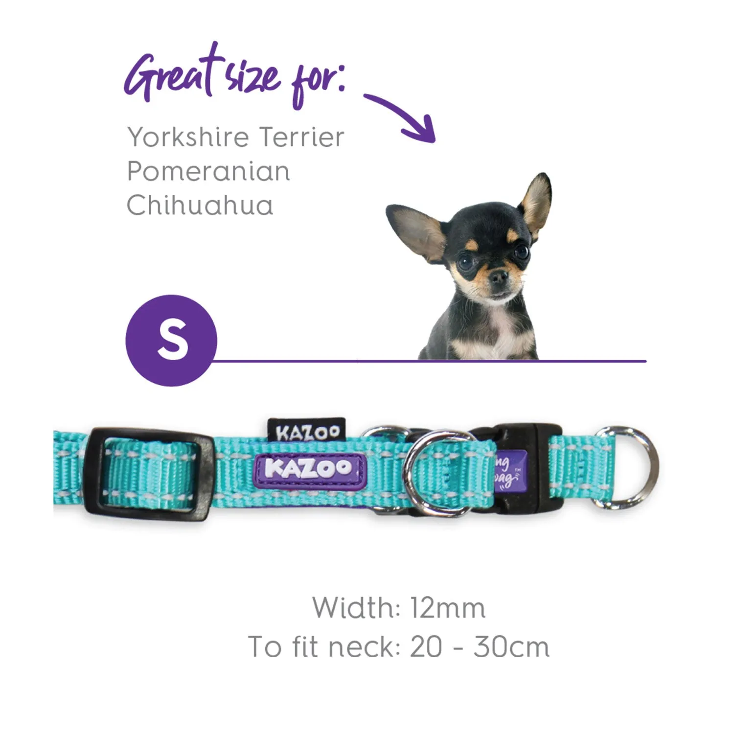 Kazoo Active Easy-Clip Adjustable Dog Collar Aqua & Purple