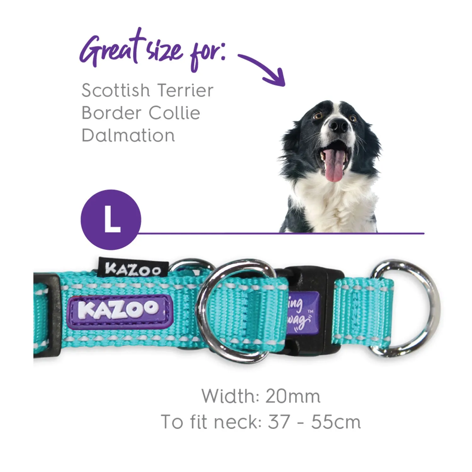 Kazoo Active Easy-Clip Adjustable Dog Collar Aqua & Purple