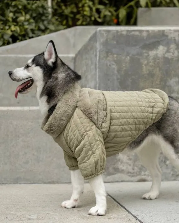 Soho Cute Green Packable Dog Jacket