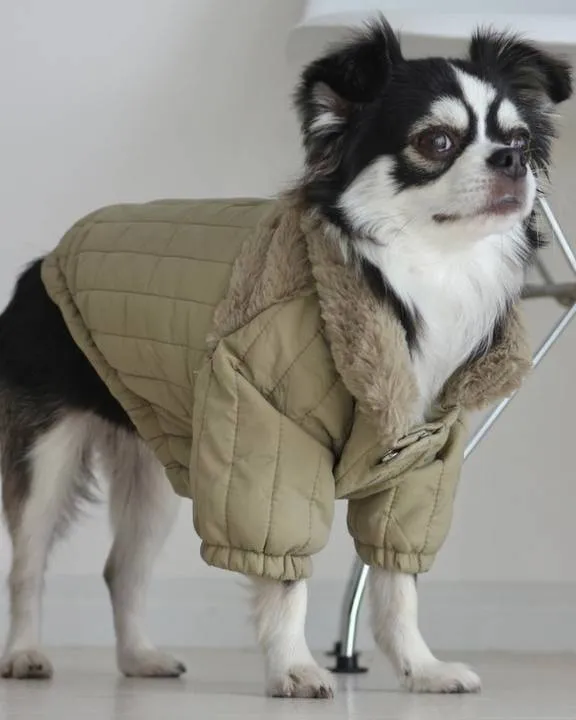 Soho Cute Green Packable Dog Jacket