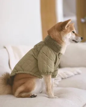 Soho Cute Green Packable Dog Jacket