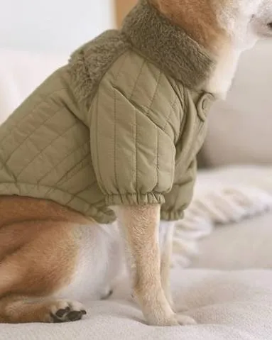 Soho Cute Green Packable Dog Jacket