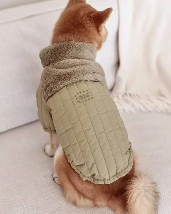 Soho Cute Green Packable Dog Jacket